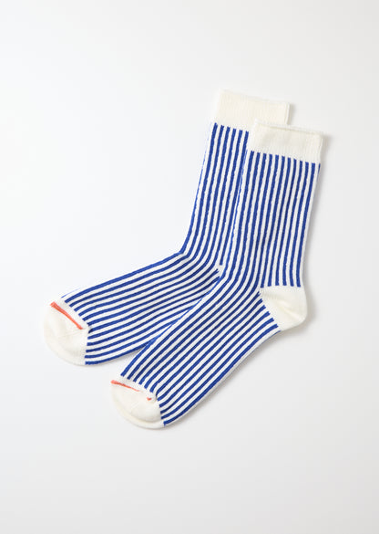 WHITE / ROYAL BLUE