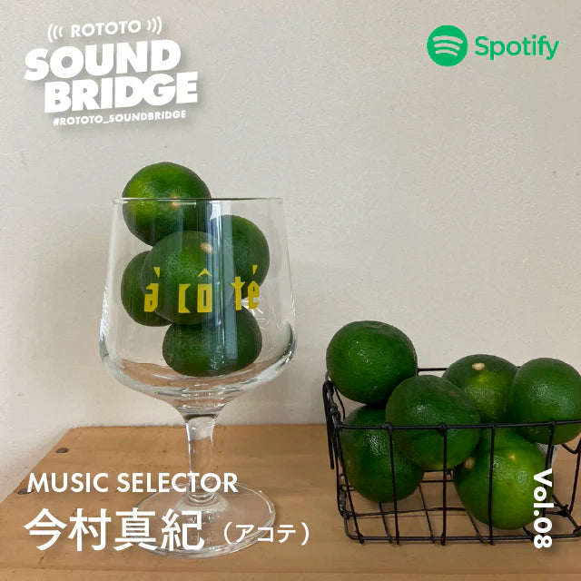 SOUND BRIDGE
